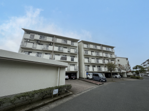 鹿児島市鴨池新町、マンションの画像です