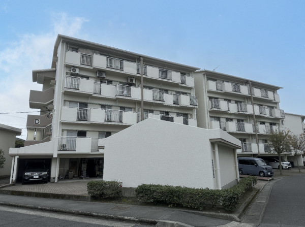 鹿児島市鴨池新町、マンションの画像です