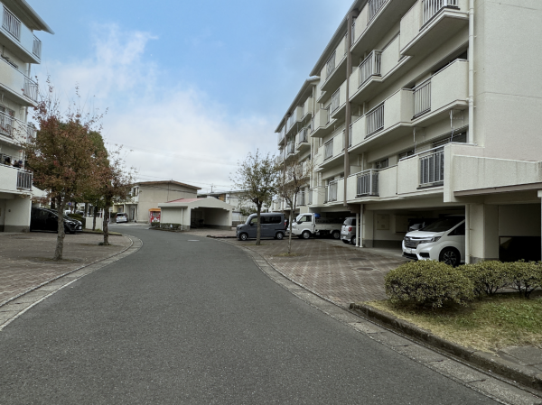 鹿児島市鴨池新町、マンションの画像です
