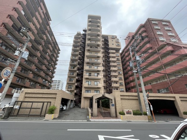 鹿児島市中央町、マンションの画像です