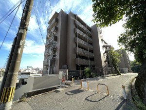 鹿児島市城山町、マンションの画像です