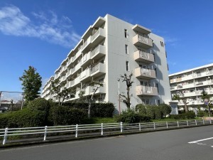 鹿児島市鴨池新町、マンションの画像です