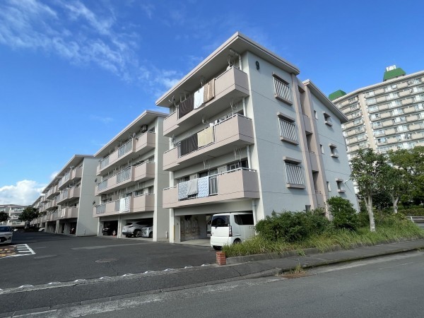 鹿児島市鴨池新町、マンションの画像です