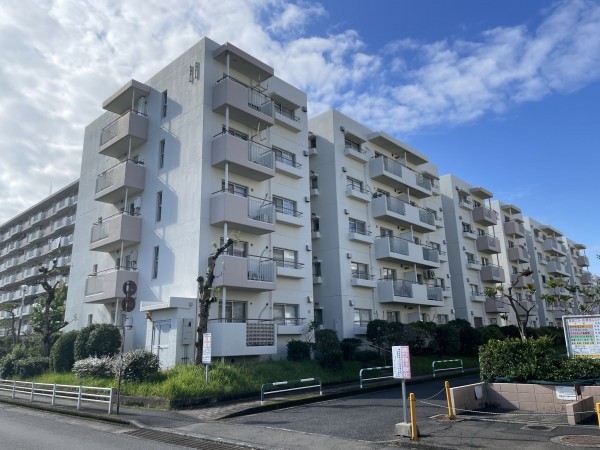 鹿児島市鴨池新町、マンションの画像です