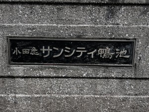 鹿児島市鴨池新町、マンションの画像です