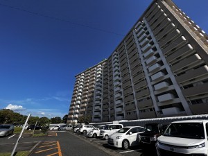 鹿児島市鴨池新町、マンションの画像です