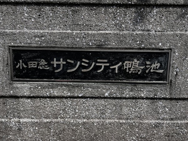 鹿児島市鴨池新町、マンションの画像です