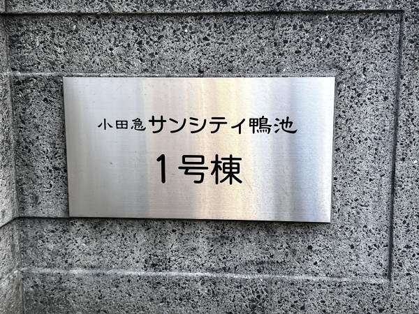 鹿児島市鴨池新町、マンションの画像です
