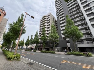 鹿児島市照国町、マンションの画像です