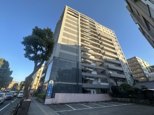 鹿児島市高麗町、収益物件/マンションの画像です