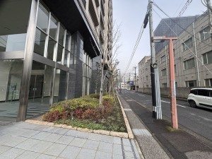 鹿児島市照国町、マンションの画像です