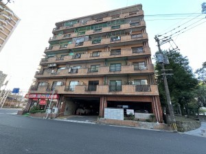 鹿児島市平之町、マンションの画像です