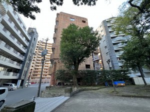 鹿児島市平之町、マンションの画像です