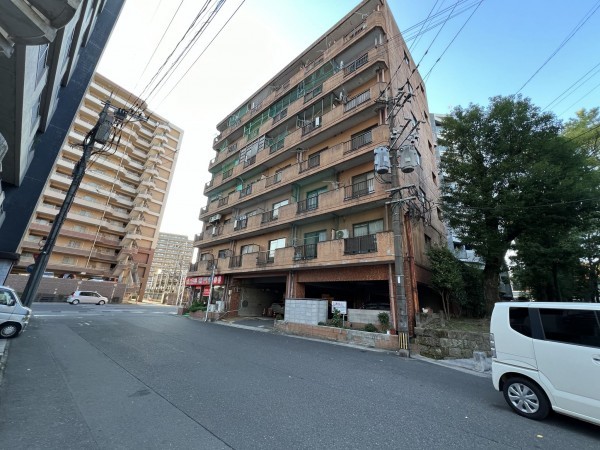 鹿児島市平之町、マンションの画像です