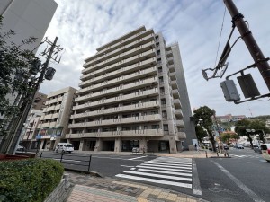 鹿児島市平之町、マンションの画像です