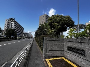 鹿児島市鴨池新町、マンションの画像です