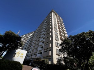 鹿児島市鴨池新町、マンションの画像です