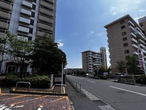 鹿児島市鴨池新町、マンションの画像です