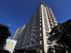 鹿児島市鴨池新町、マンションの画像です