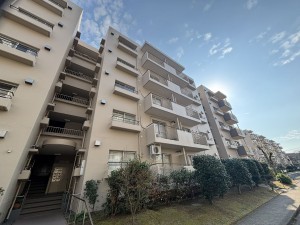 鹿児島市鴨池新町、マンションの画像です