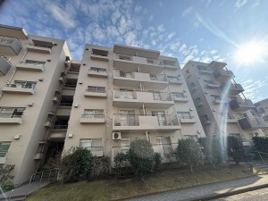 鹿児島市鴨池新町、マンションの画像です