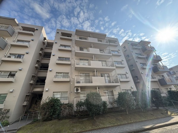 鹿児島市鴨池新町、マンションの画像です