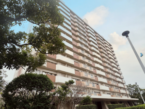 鹿児島市鴨池新町、マンションの画像です