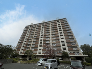 鹿児島市鴨池新町、マンションの画像です