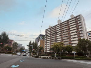 鹿児島市鴨池新町、マンションの画像です