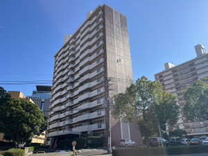 鹿児島市鴨池新町、マンションの画像です