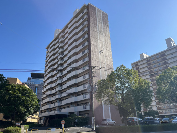 鹿児島市鴨池新町、マンションの画像です