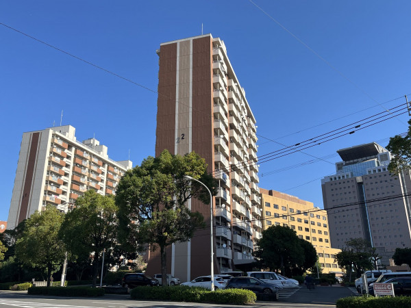 鹿児島市鴨池新町、マンションの画像です