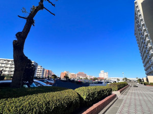 鹿児島市鴨池新町、マンションの画像です