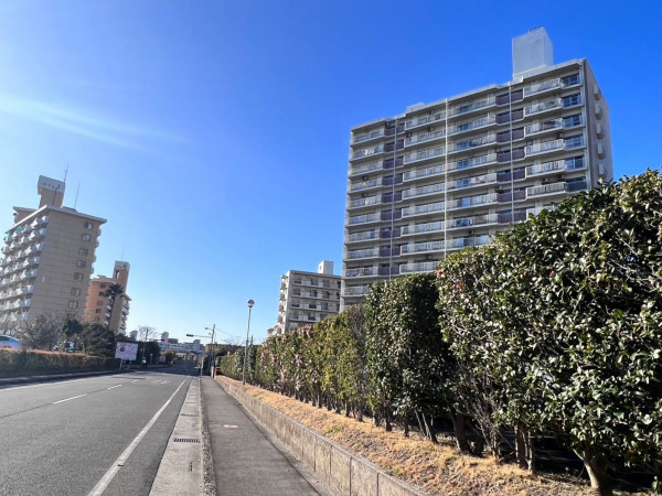 鹿児島市鴨池新町、マンションの画像です