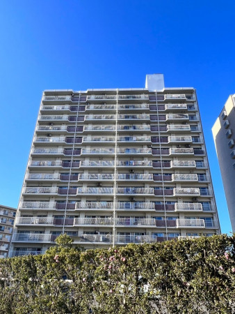 鹿児島市鴨池新町、マンションの画像です