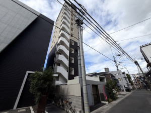 鹿児島市鴨池、マンションの画像です