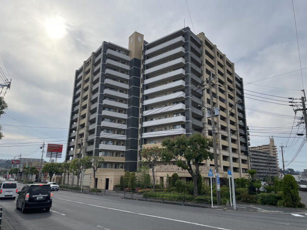 鹿児島市東郡元町、マンションの画像です