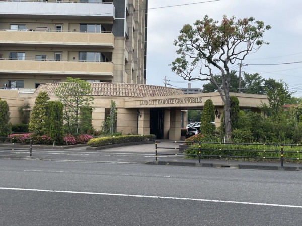 鹿児島市東郡元町、マンションの画像です