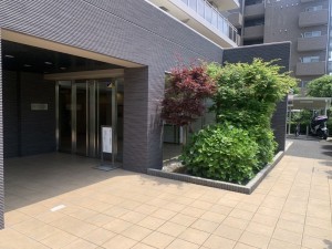 上尾市緑丘、マンションの画像です