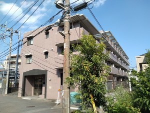 藤沢市川名、マンションの外観画像です