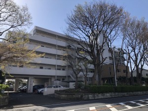 藤沢市大鋸、マンションの外観画像です