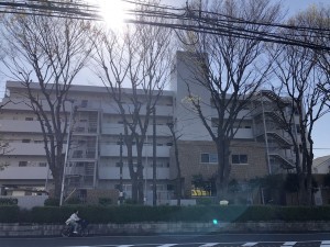 藤沢市大鋸、マンションの画像です