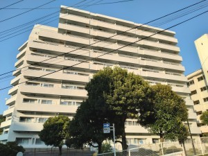 藤沢市片瀬海岸、マンションの外観画像です