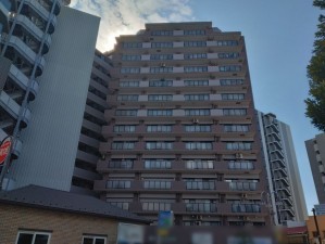 藤沢市藤沢、マンションの外観画像です