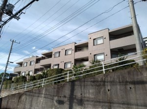 藤沢市大鋸、マンションの外観画像です