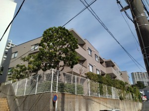 藤沢市大鋸、マンションの外観画像です