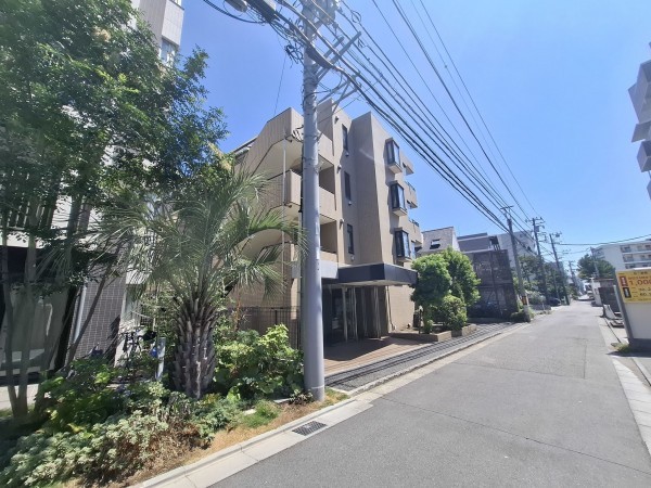 藤沢市片瀬海岸、マンションの画像です