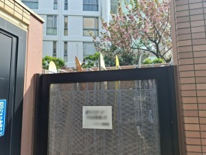 藤沢市片瀬海岸、マンションのその他画像です