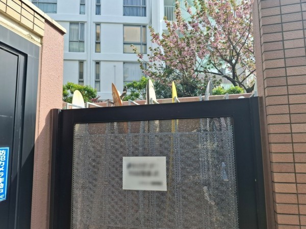 藤沢市片瀬海岸、マンションのその他画像です