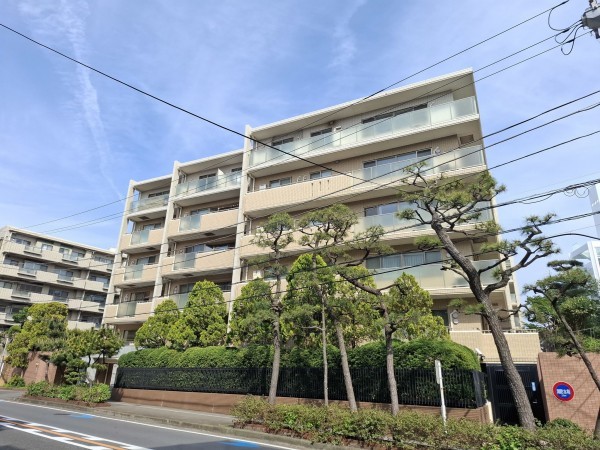 藤沢市片瀬海岸、マンションの画像です